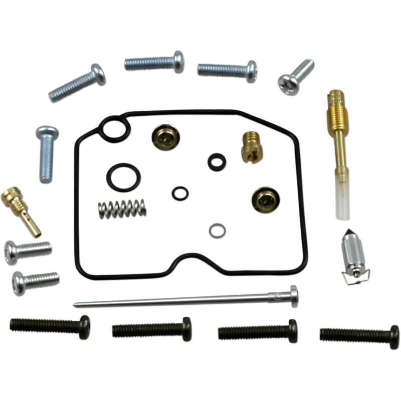 Carburetor Rebuild Kit