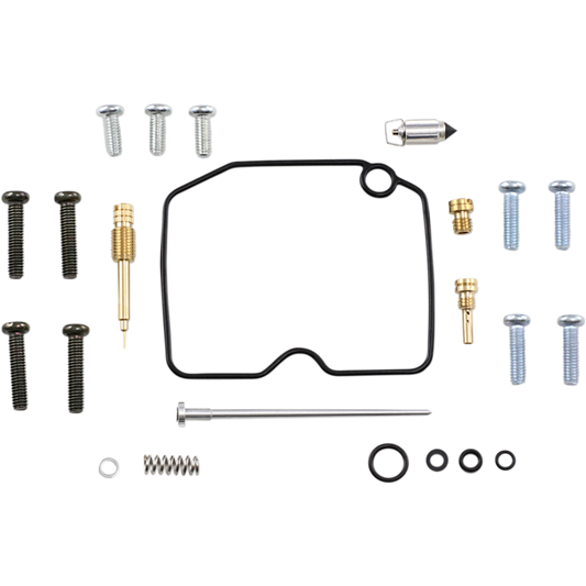 Carburetor Rebuild Kit