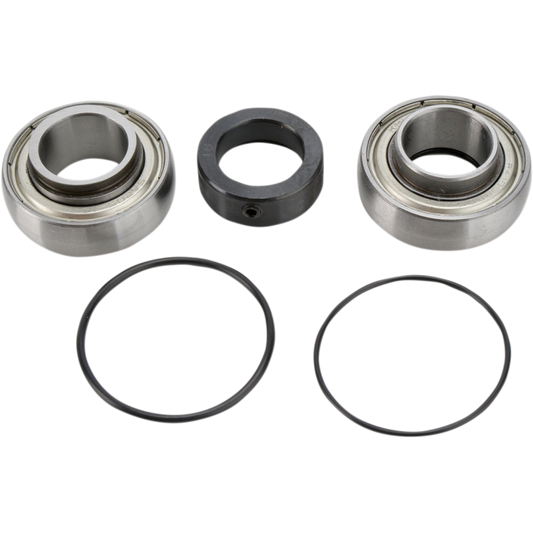 CHAIN CASE BEARING & SEAL KIT