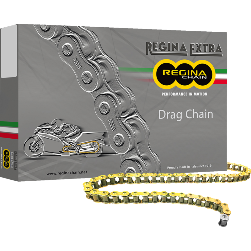 REGINA 520 DR CHAIN 140 LINKS