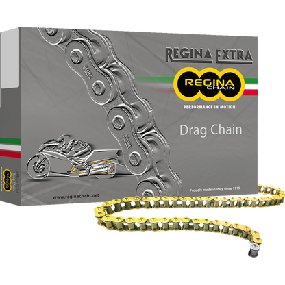 REGINA 520 DR CHAIN 140 LINKS