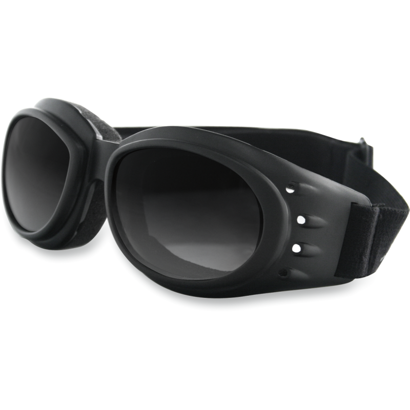 CRUISER 2 GOGGLE INTRCHG BLACK FRAME