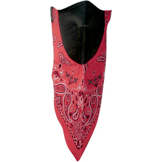 NEODANNA RED PAISLEY