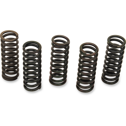 CLUTCH SPRING KIT MULTI APPLICATIONS