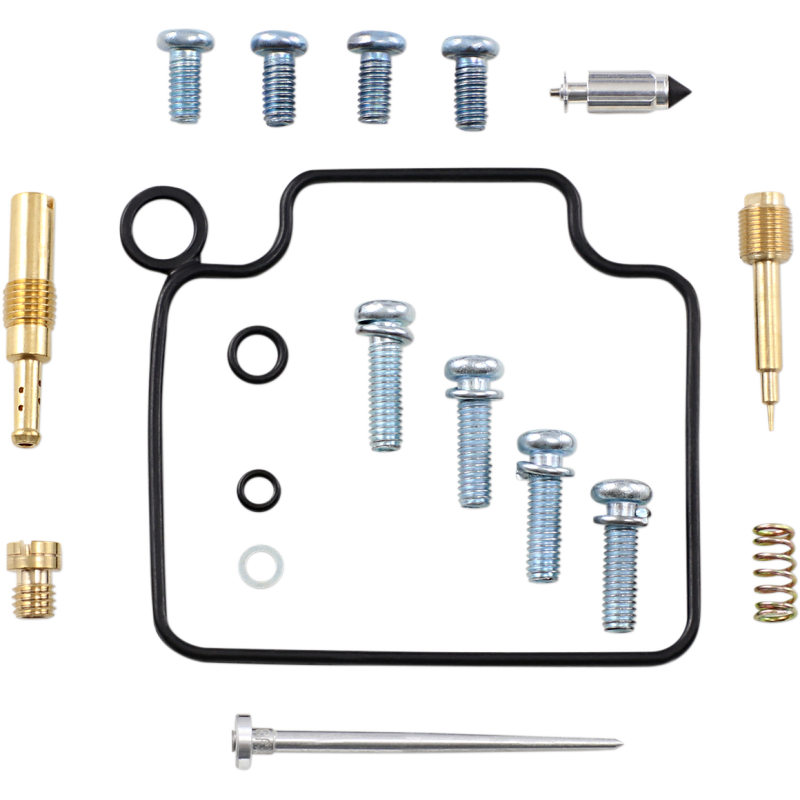 Carburetor Rebuild Kit