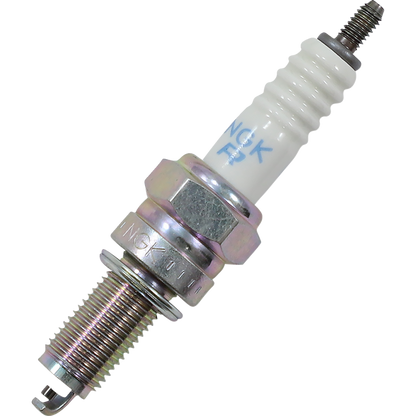 SPARK PLUG NGK (6899)